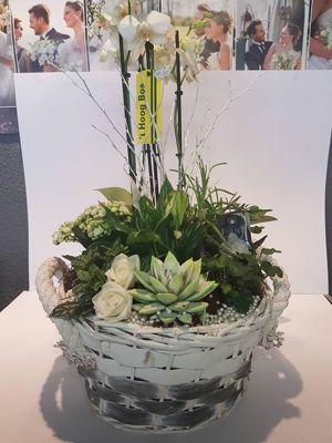 Foto 56 uit NeelyshaBloemen