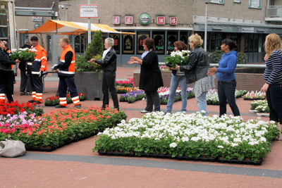 Foto 14 uit OpzoomerenPlantjes