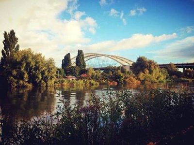 Foto 584 uit BRIENENOORDBRUG