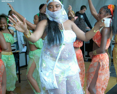 Foto 88 uit carnaval2008beverw