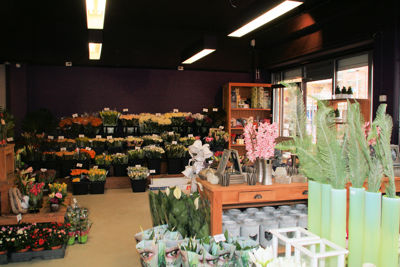 Foto 236 uit WINKELSBeverwaard