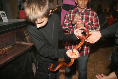 Foto 275 uit HaLLoWeeN29_10_11