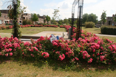 Foto 230 uit TropischeTuin 2017