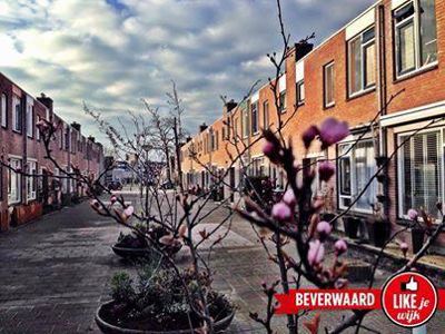 Foto 22 uit LIKEJEWIJK FOTO'S_2