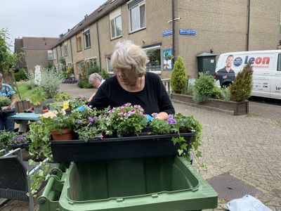 Foto 14 uit PlantenAlerdincksingel