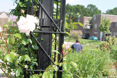 Foto 31 uit Tropische Tuin12_6