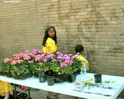 Foto 117 uit schoonmaakactie new