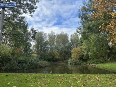 Foto 46 uit X-Herfst Verschillende jaren  2026