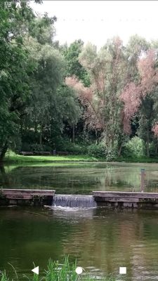 Foto 375 uit Rondje Beverwaard 2026