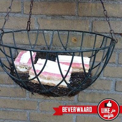 Foto 125 uit LIKEJEWIJK FOTO'S