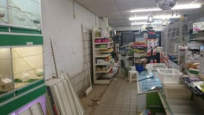 Foto 9 uit Dieren Zaak Catdox