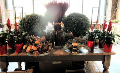 Foto 84 uit De Bloemenboetiek