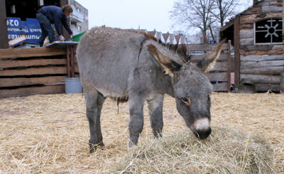 Foto 5 uit Sinterklaas 2009B.W