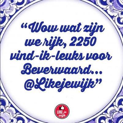 Foto 91 uit LIKEJEWIJK FOTO'S