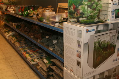 Foto 40 uit Dieren Zaak Catdox