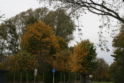 Foto 108 uit Herfst In Beverwaard