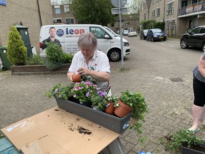 Foto 13 uit PlantenAlerdincksingel