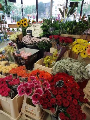 Foto 121 uit NeelyshaBloemen