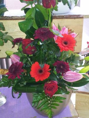 Foto 131 uit NeelyshaBloemen