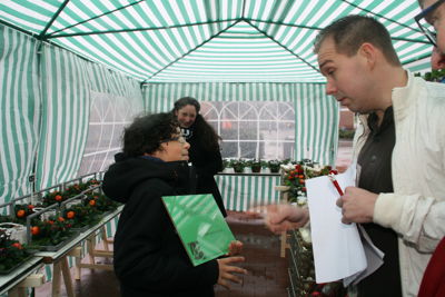 Foto 30 uit MaakKerstWensWaar