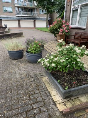 Foto 76 uit Rondje Beverwaard 2026