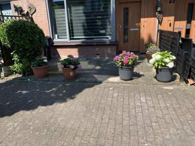 Foto 326 uit Rondje Beverwaard 2026