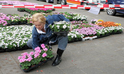 Foto 90 uit Opzoomeren 19_05