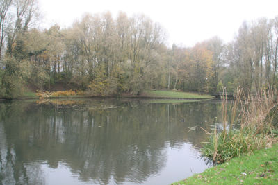 Foto 426 uit StratenBEVERWAARD