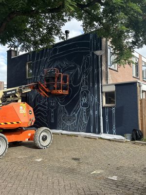 Foto 57 uit All Caps Muurschilderingen Beverwaard 2026