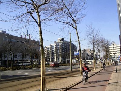 Foto 105 uit Foto's uit Rotterdam