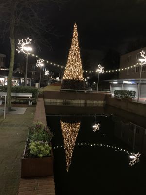 Foto 9 uit Grote Kerstboom WC