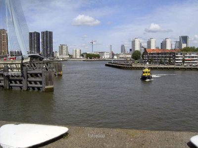 Foto 148 uit red bull air race r.dam