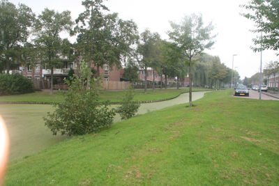 Foto 353 uit StratenBEVERWAARD