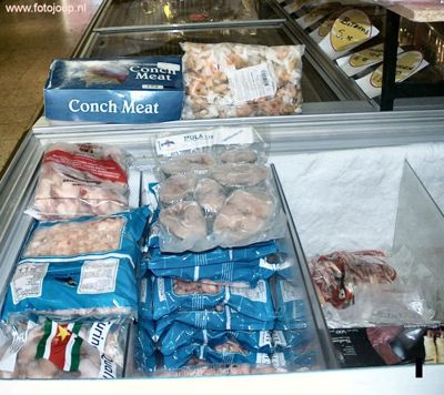 Foto 4 uit TOKO MILOBI NEW07