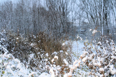 Foto 215 uit WinterIn Beverwaard