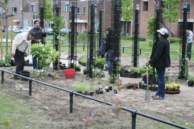 Foto 64 uit Tropische Buurttuin