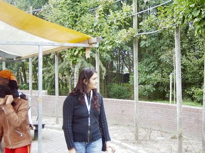 Foto 75 uit wijkfeest