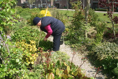 Foto 288 uit TropischeTuin 2017