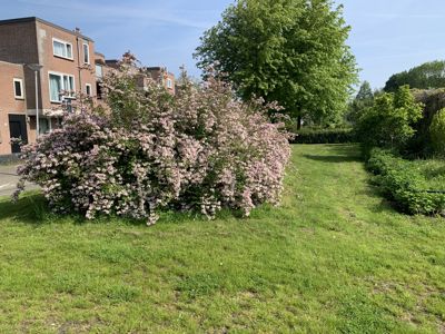 Foto 228 uit Rondje Beverwaard 2026