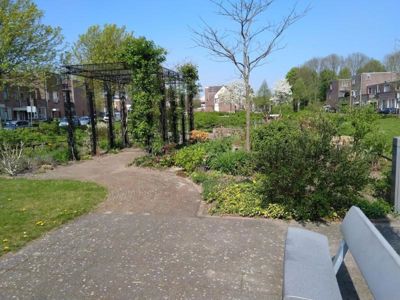 Foto 163 uit TropischeTuin 2017