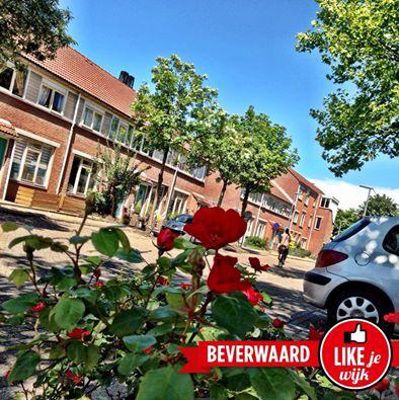 Foto 487 uit LIKEJEWIJK FOTO'S_2