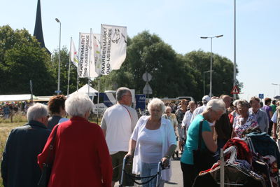 Foto 7 uit Paardenmarkt24-6