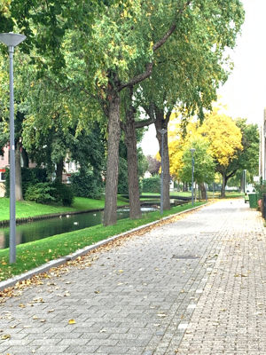 Foto 101 uit Herfst In Beverwaard