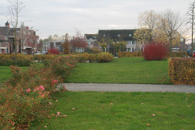 Foto 182 uit Herfst In Beverwaard