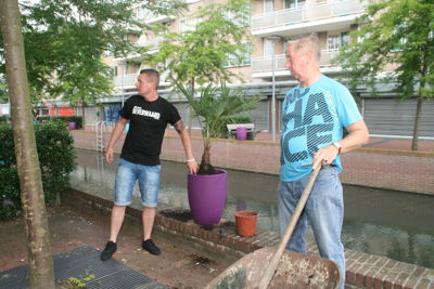 Foto 32 uit HippePlantenBakken