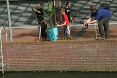 Foto 64 uit HippePlantenBakken