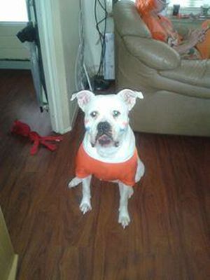 Foto 82 uit OranjeInBeverwaard