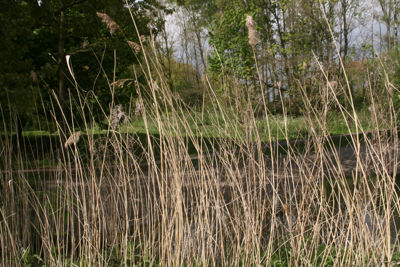 Foto 19 uit ParkenInBeverwaard