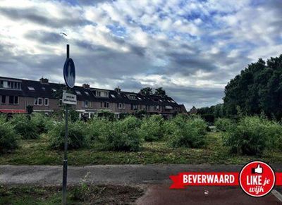 Foto 102 uit LIKEJEWIJK FOTO'S_3