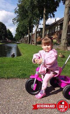 Foto 241 uit LIKEJEWIJK FOTO'S_2